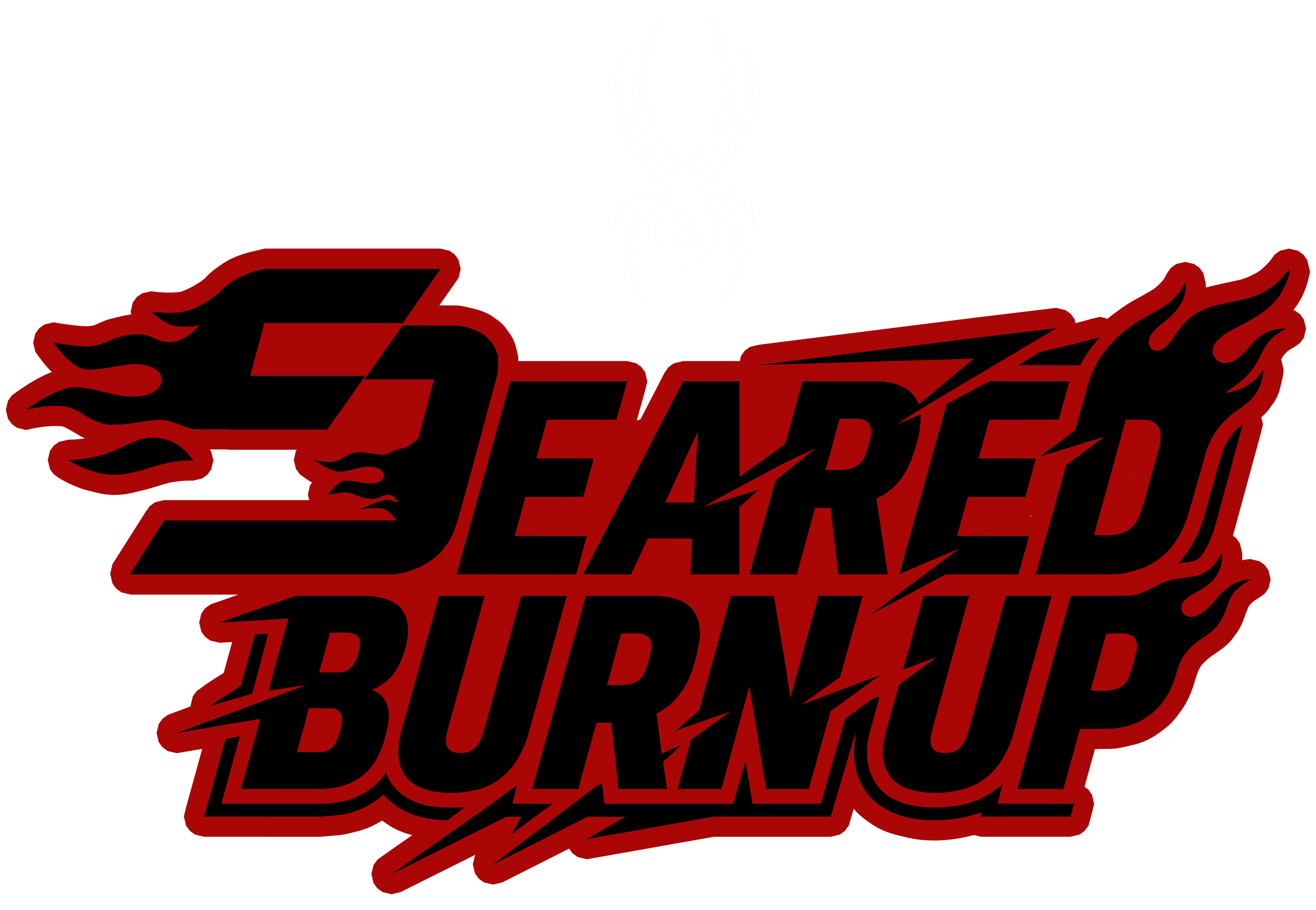 SEARED BURN UP